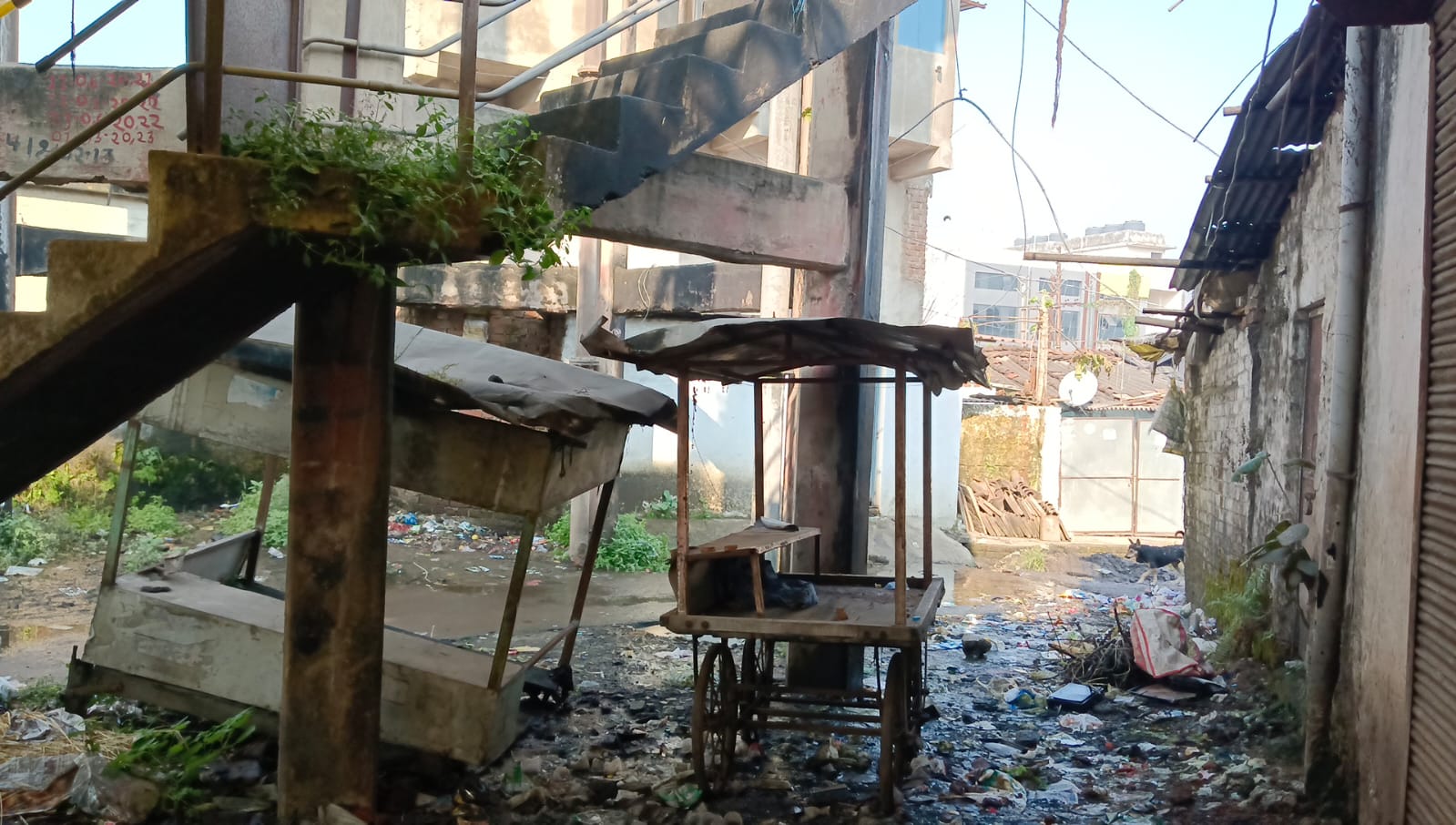 1762681586 WhatsApp Image 2025 11 09 at 11.54.29 AM